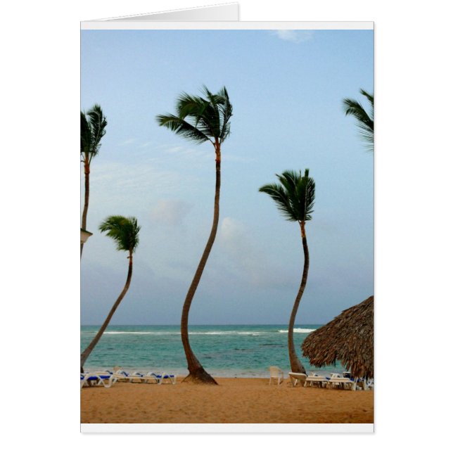 Palma de la playa (Frente)