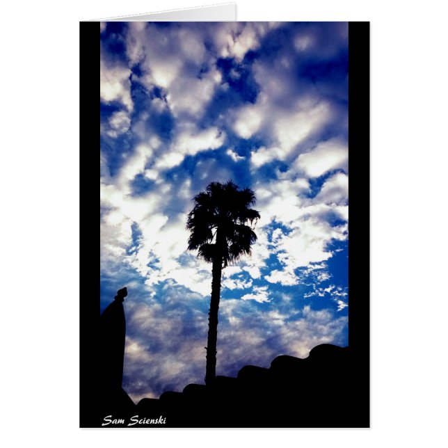 Palma en las nubes (Frente)