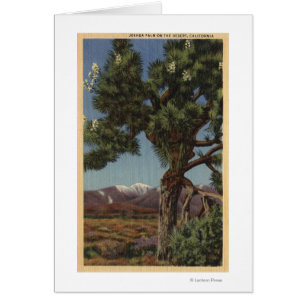 Palma Joshua en flor en desierto californiano