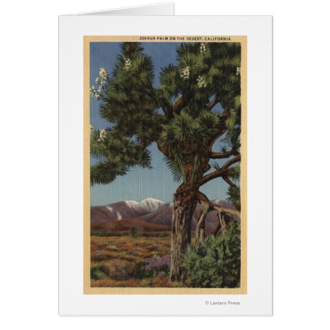 Palma Joshua en flor en desierto californiano (Frente)