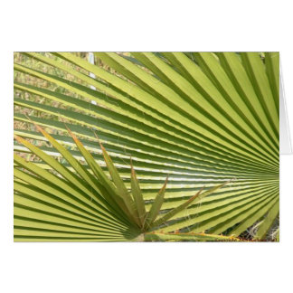 Palmas de fan