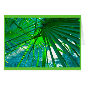 Palmas de Florida