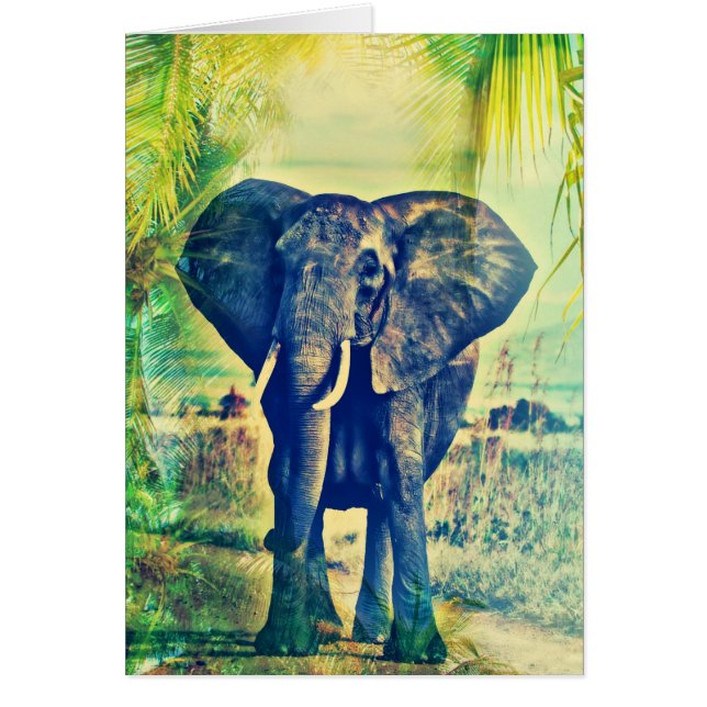 Palmas elefantes (Frente)