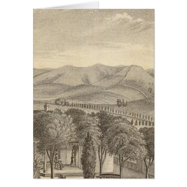 Palmer res, viñedo (Frente)