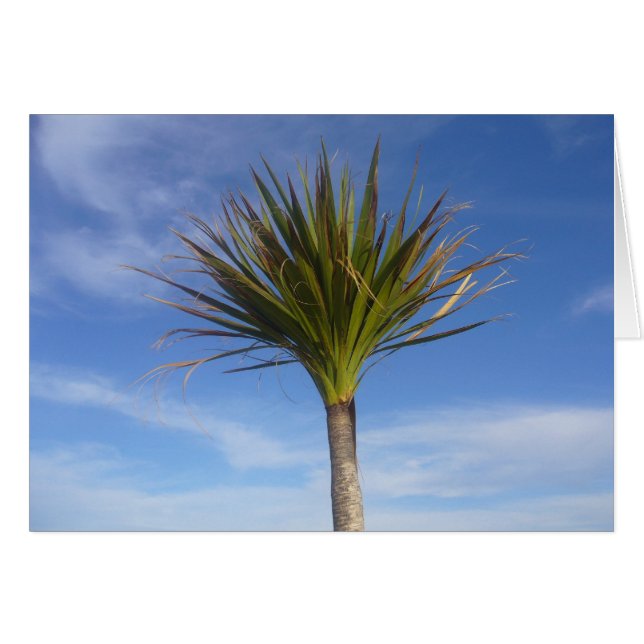 palmera (Anverso (Horizontal))