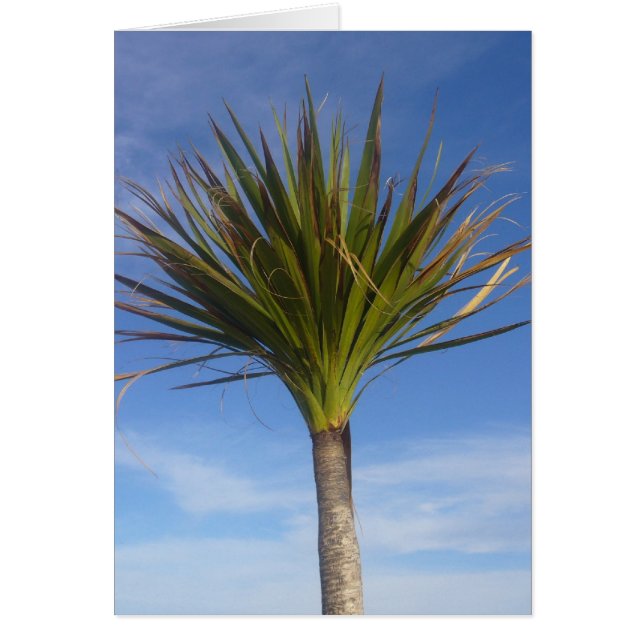 palmera (Frente)