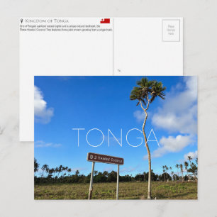 Palmera de Coco de Tres Cabezas, Tonga Tarjeta Pos