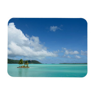 Palmera en el imán rectangular de Bora Bora