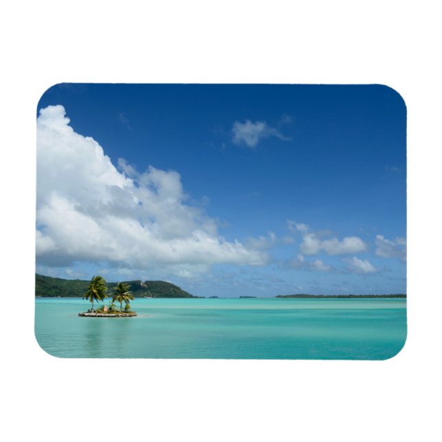 Palmera en el imán rectangular de Bora Bora (Horizontal)