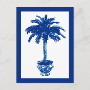 Palmera en maceta, Tarjeta postal azul marino y bl