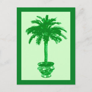 Palmera en maceta, tarjeta postal de esmeralda y v