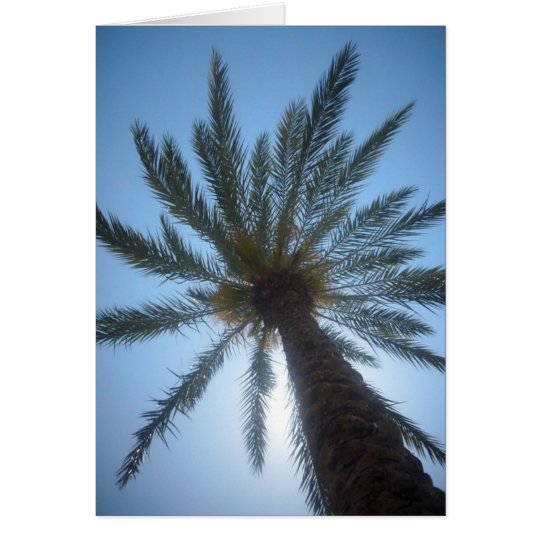 PALMERA TARJETA PEQUEÑA