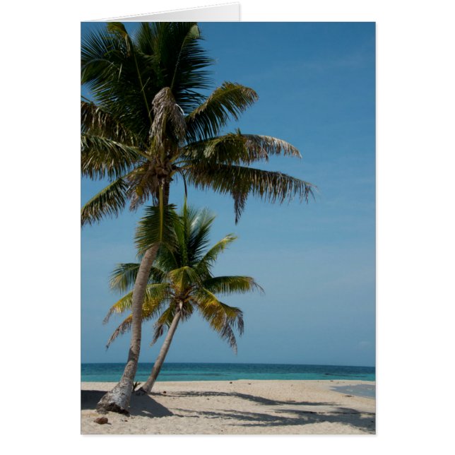 Palmera y playa de arena blanca (Frente)