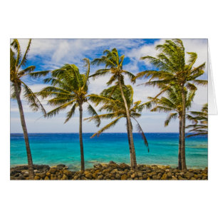 Palmeras de coco (Cocos nucifera) que se mecen