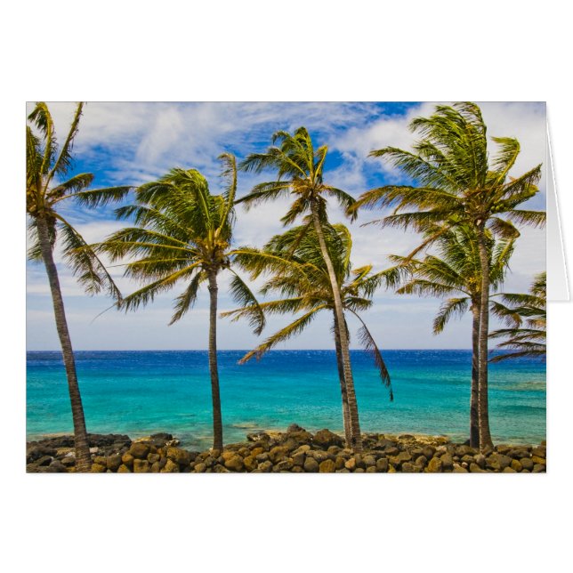 Palmeras de coco (Cocos nucifera) que se mecen (Anverso (Horizontal))