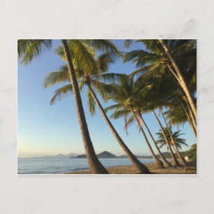 palmeras de postal y mar