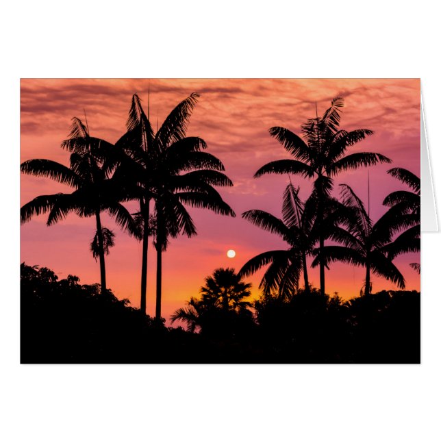 Palmeras de silueta, Hawái (Anverso (Horizontal))