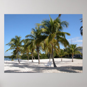 Palmeras e impresión de la playa