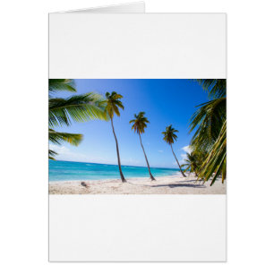 Palmeras en la playa de Isla Saona