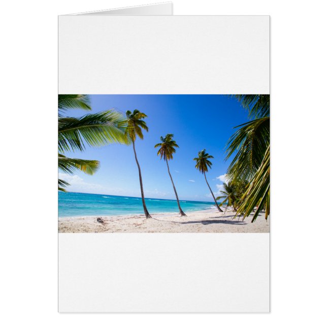 Palmeras en la playa de Isla Saona (Frente)