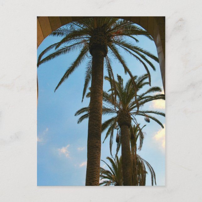 Palmeras en la postal de la estación de la Unión (Anverso)