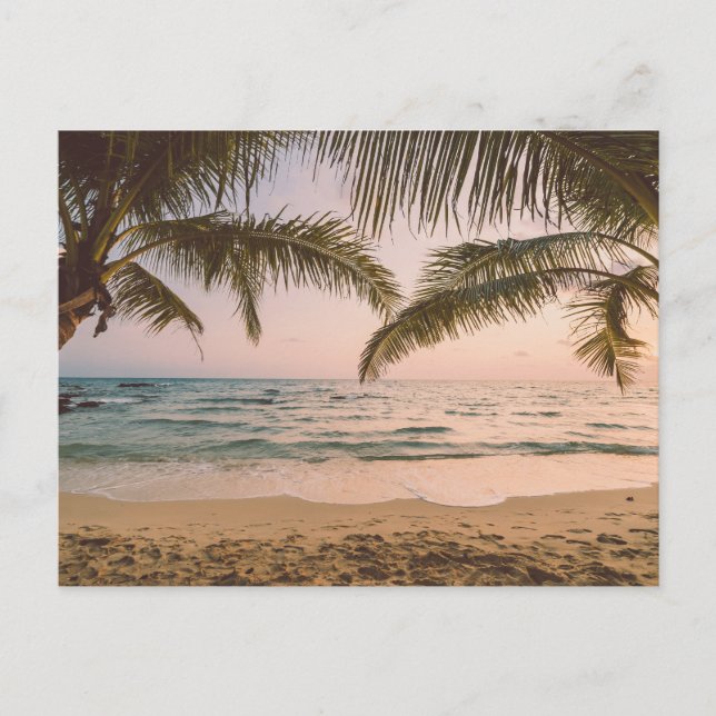 Palmeras en la postal de la playa (Anverso)