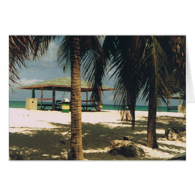 Palmeras en Seven Mile Beach, Grand Cayman Island (Anverso (Horizontal))