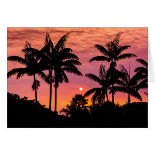 Palmeras en silueta, Hawái