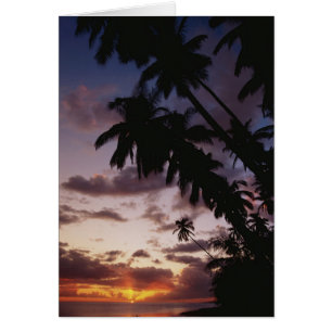 Palmeras junto al mar