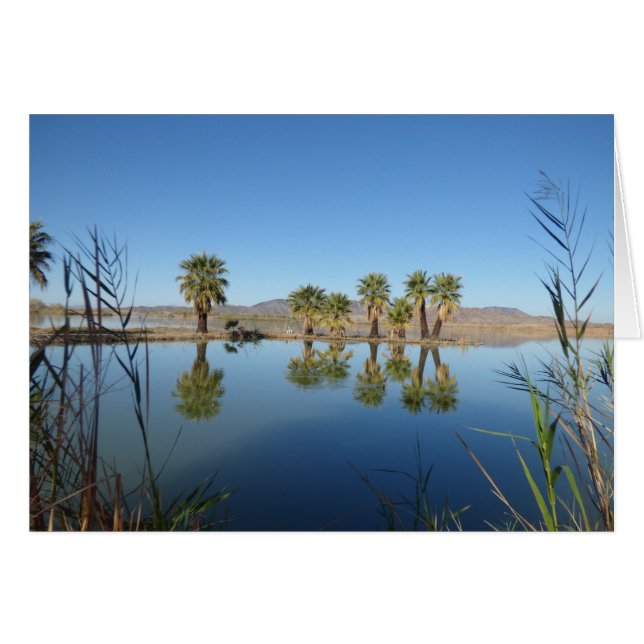 Palmeras reflejadas (Anverso (Horizontal))