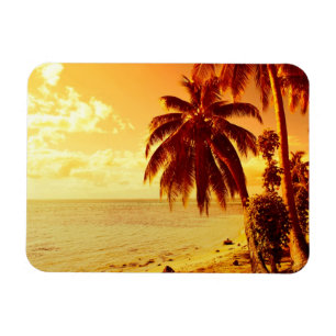 Palmeras tropicales en el imán rectangular al atar