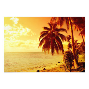 Palmeras tropicales en una playa en la foto de la