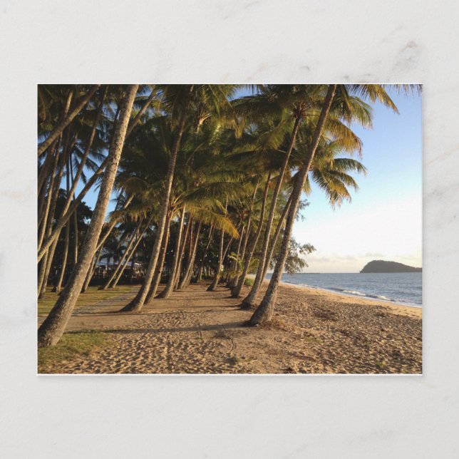 Palmeras y postal de playa (Anverso)