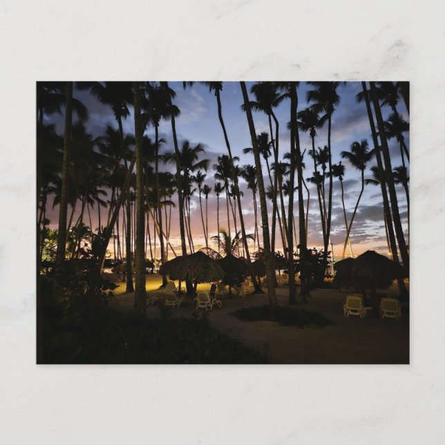 Palmeras y postal de puesta de sol (Anverso)