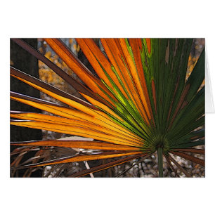 Palmetto chamuscado