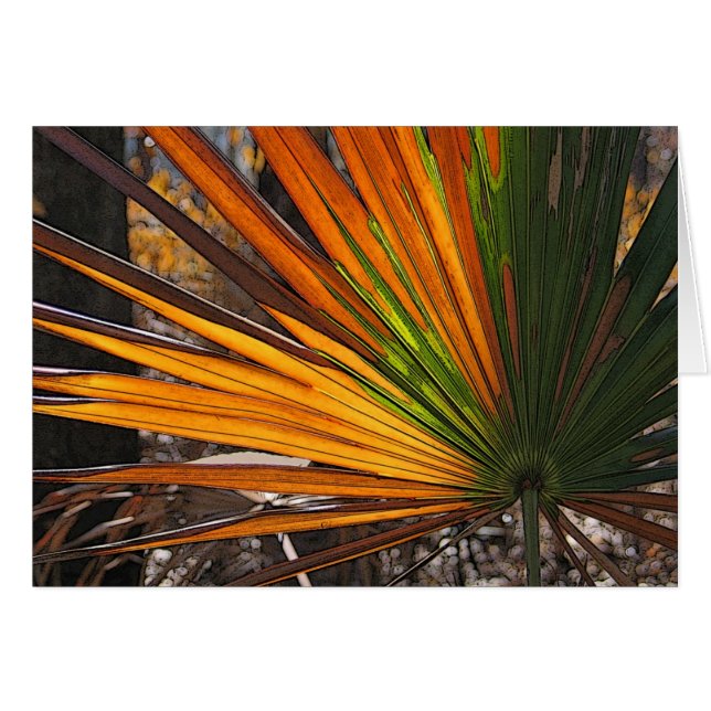 Palmetto chamuscado (Anverso (Horizontal))