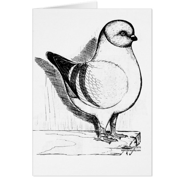 Paloma de Modena Gazzi 1978 (Frente)