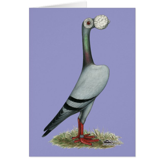 Paloma mensajera 2012 (Frente)