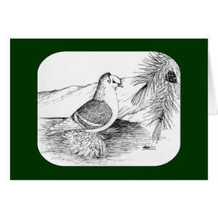 Paloma Saxon Shield 1973