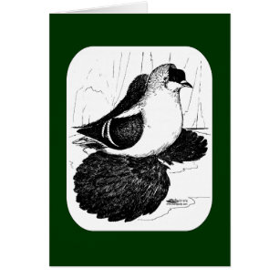 Paloma Tragana Saxon 1978