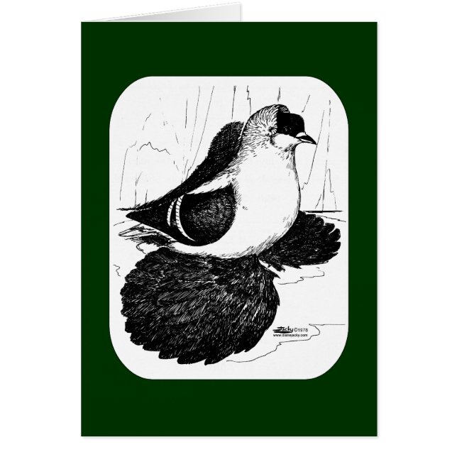 Paloma Tragana Saxon 1978 (Frente)