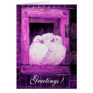 PALOMAS BLANCAS EN LA VENTANA, rosa violeta púrpur