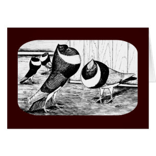 Palomas de Aachen Band Cropper
