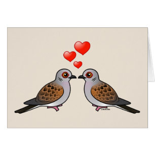 Palomas de la tortuga en amor