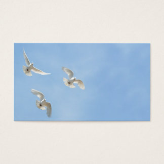 Palomas del vuelo