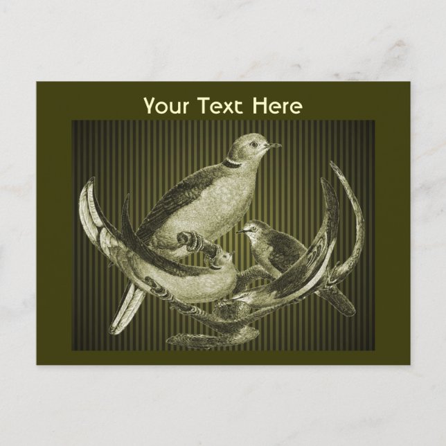 Palomas en la tarjeta postal de Personalizable de  (Anverso)
