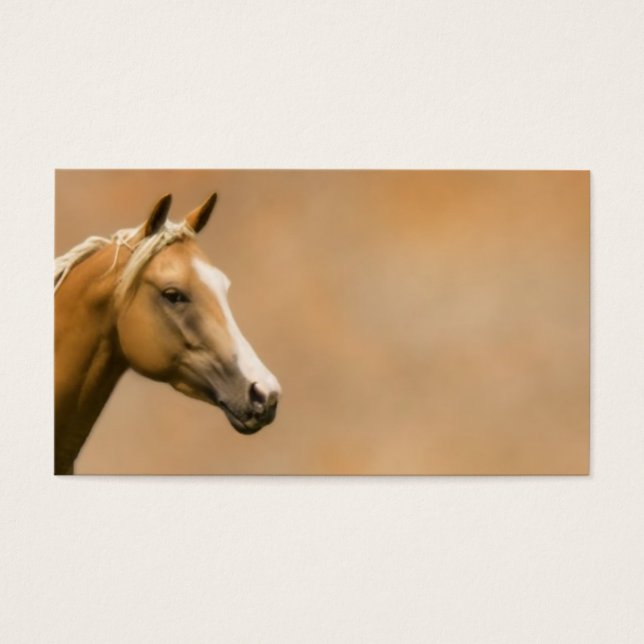 Palomino Elegance (Frente)