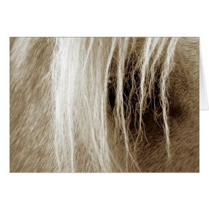 Palomino en Sepia