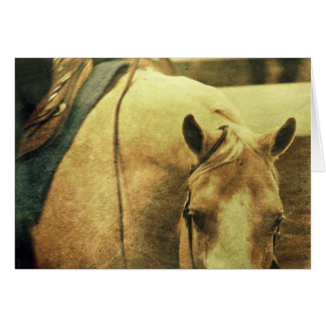 Palomino Occidental (Anverso (Horizontal))