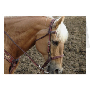 Palomino Occidental